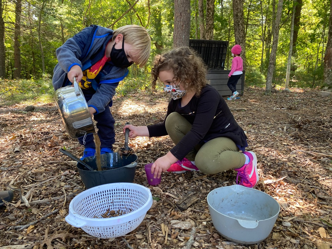 Nature Based Kindergarten - Everwood Day Camp